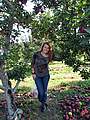 Liz Ornitz