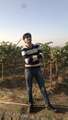 CA Tausif Galeria