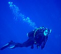 OKIDIVER