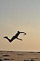 Jay Alleppey