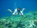 Fauzan Hidayat