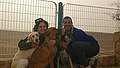 Saar and Hadas Badash