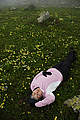 Elif Uzer