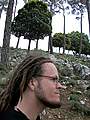 Daniel Iske