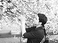 LIUD_MILA
