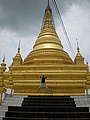 Denny Partridge