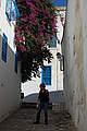 FLOROSLUNOS