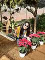 Van Anh Truong