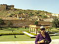 Irani Saikia