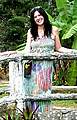 Lori S Twohy