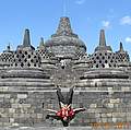 Sutardi Purwono