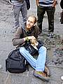Siavash Maraghechi