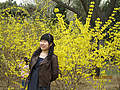 Dongxia Xu