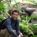 Kin Cheung