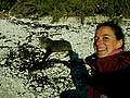 Laure Le hello