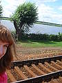 Justyna Mi