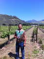 David Avila