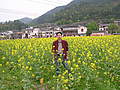 Chong Yang