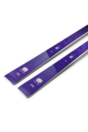 firebird race type mt + plt piston + comp 16 BLIZZARD | 8A633500COMP 16