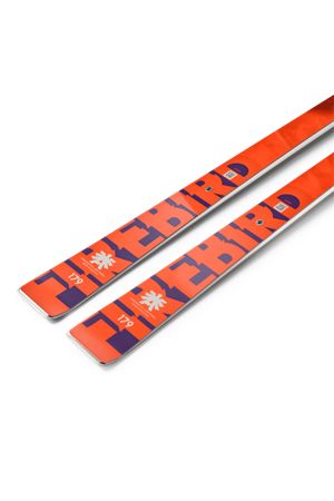 firebird race type lt + plt piston + comp 16 BLIZZARD | 8A633700COMP 16