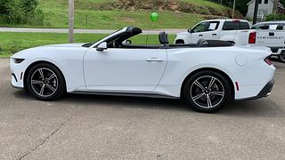 Thumbnail - 2025 Ford Mustang