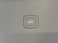 light-box-slides