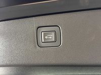 light-box-slides