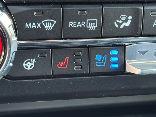 light-box-slides