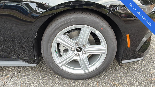 slide-image