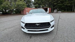 Thumbnail - 2026 Ford Mustang