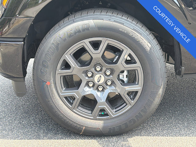 slide-image