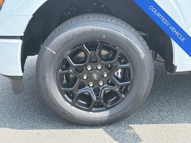 slide-image