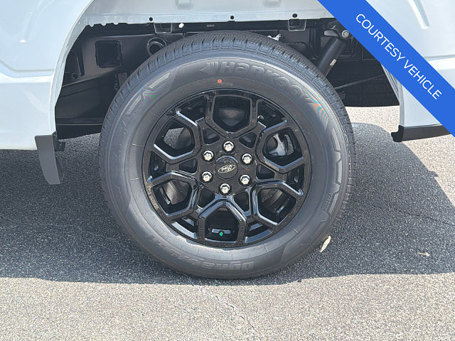 slide-image