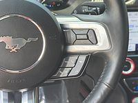 light-box-slides