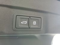light-box-slides