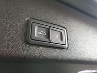 light-box-slides