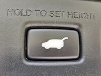 light-box-slides