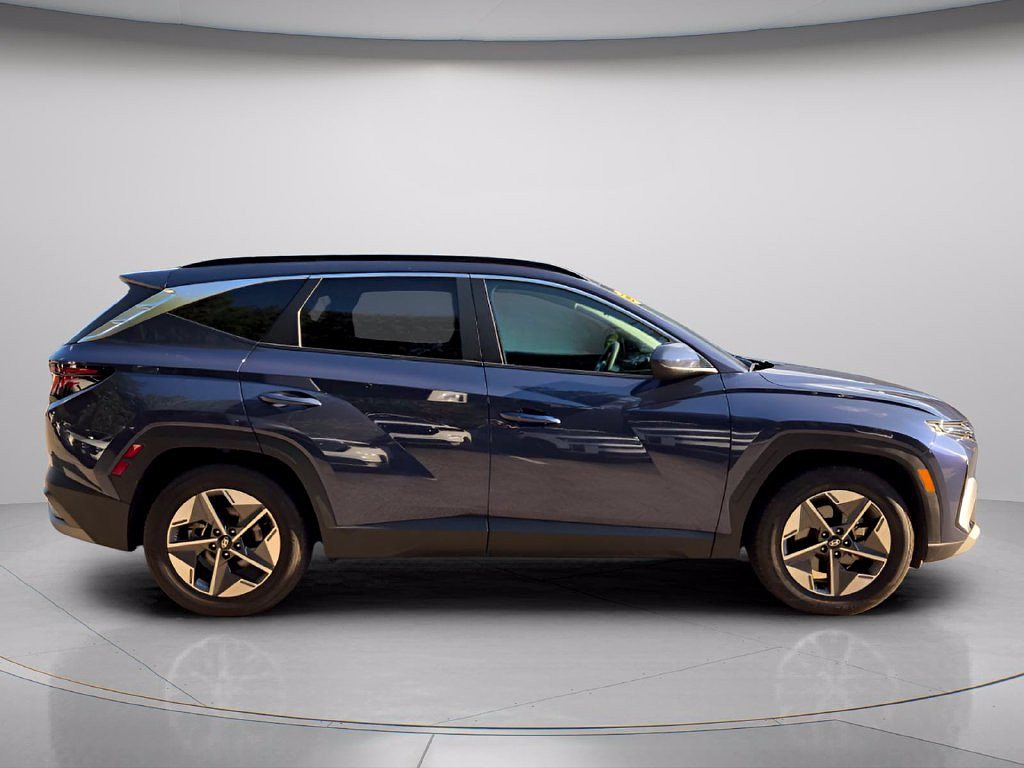light-box-slides