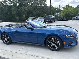 Thumbnail - 2024 Ford Mustang