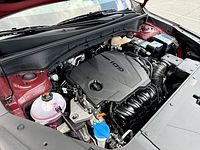 light-box-slides