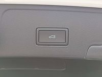 light-box-slides
