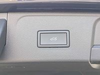 light-box-slides