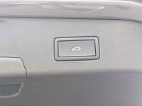 light-box-slides