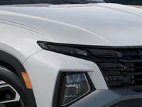 light-box-slides