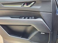 light-box-slides