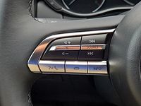 light-box-slides