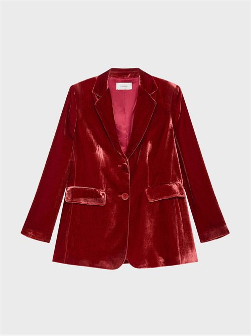 Two-button single-breasted velvet jacket MALIPARMI | JD64796102630017