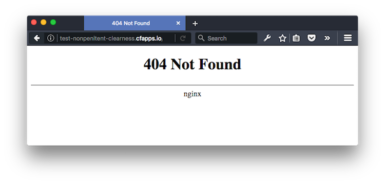 Default NGINX 404 Page (in all of its glory)