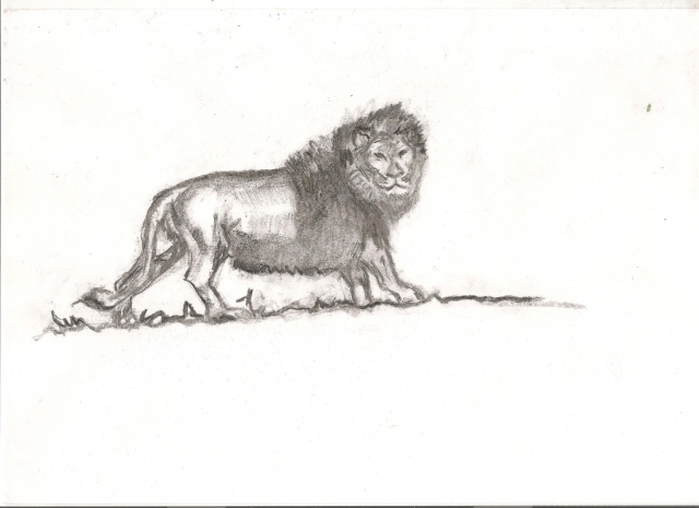 lioncarbone-001
