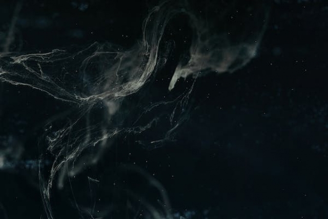 Exploring the Power of Animation in Procreate